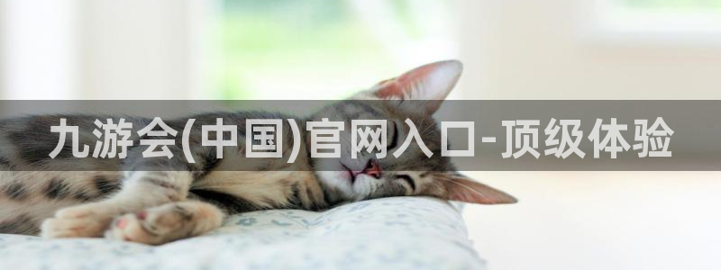 东莞市蓝图娱乐电子科技有限公司：九游会(中国)官网入口-顶级体验