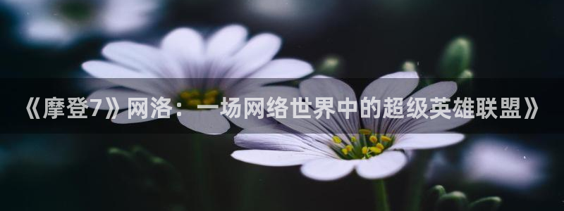 蓝图娱乐平台下载入口：《摩登7》网洛：一场网络世界中的超级英雄联盟》