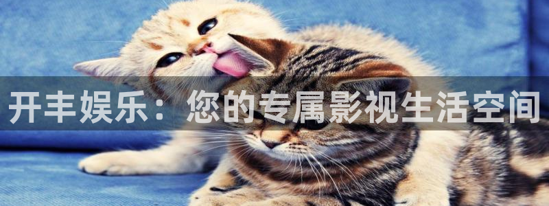 蓝图娱乐注册链接：开丰娱乐：您的专属影视生活空间