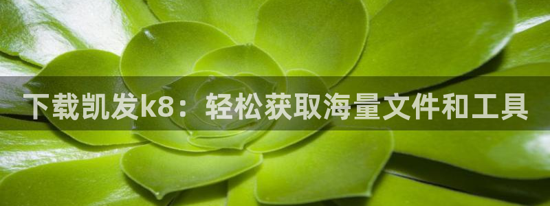 蓝图娱乐预测在线预测：下载凯发k8：轻松获取海量文件和工具