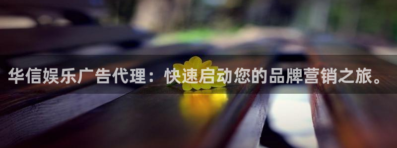 蓝图娱乐加拿大官网：华信娱乐广告代理：快速启动您的品牌营销之旅。