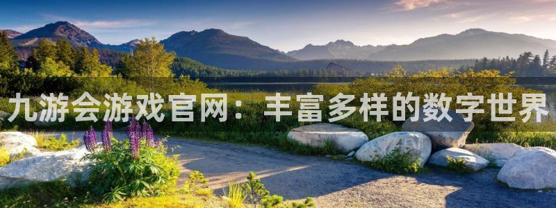 南宫蓝图娱乐：九游会游戏官网：丰富多样的数字世界