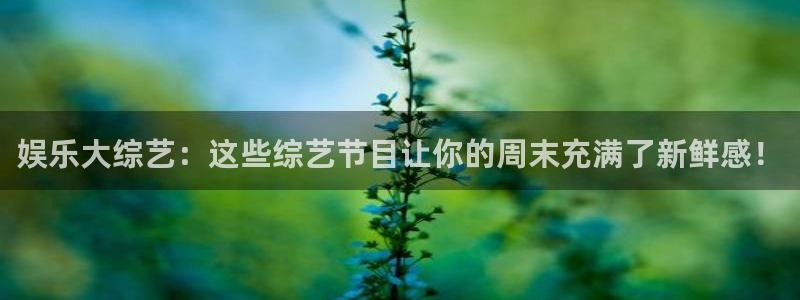 蓝图娱乐体育和杏耀是哪个公司的：娱乐大综艺：这些综艺节目让你的周末充满了新鲜感！