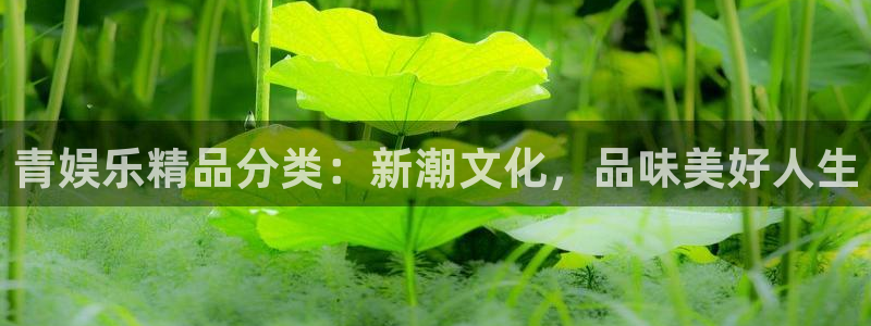 蓝图娱乐能源：青娱乐精品分类：新潮文化，品味美好人生