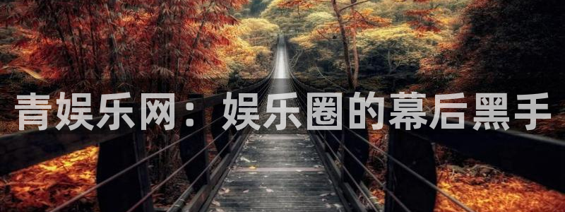 蓝图娱乐官网入口：青娱乐网：娱乐圈的幕后黑手