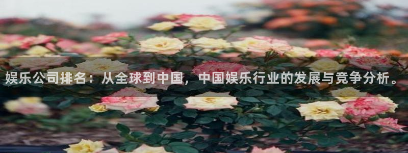蓝图娱乐电子游戏：娱乐公司排名：从全球到中国，中国娱乐行业的发展与竞争分析。