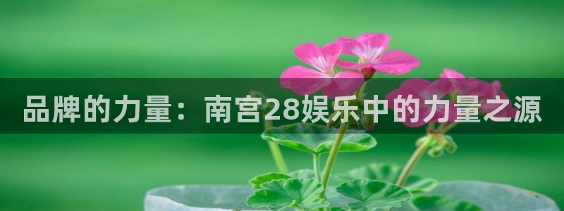 蓝图娱乐k：品牌的力量：南宫28娱乐中的力量之源