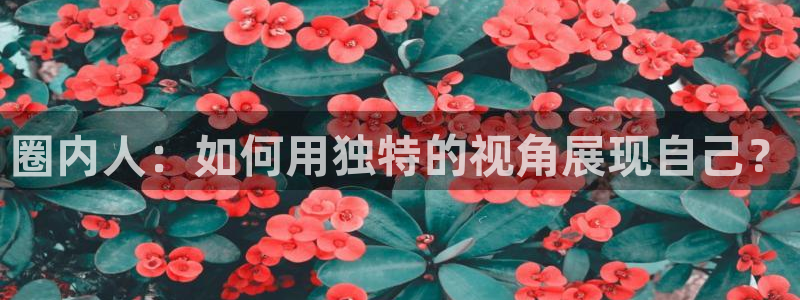 蓝图娱乐体育免费注册入口：圈内人：如何用独特的视角展现自己？