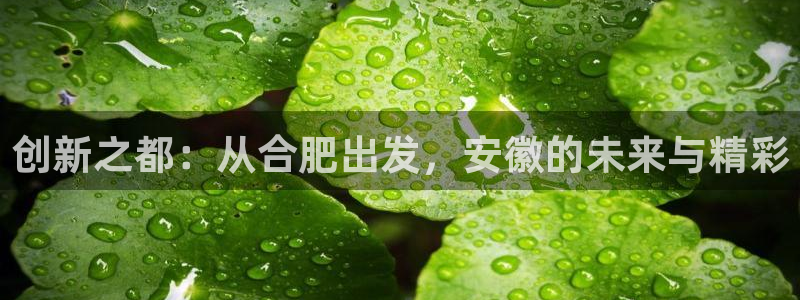 蓝图娱乐凯捷注册：创新之都：从合肥出发，安徽的未来与精彩