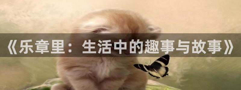 蓝图娱乐官网地址：《乐章里：生活中的趣事与故事》